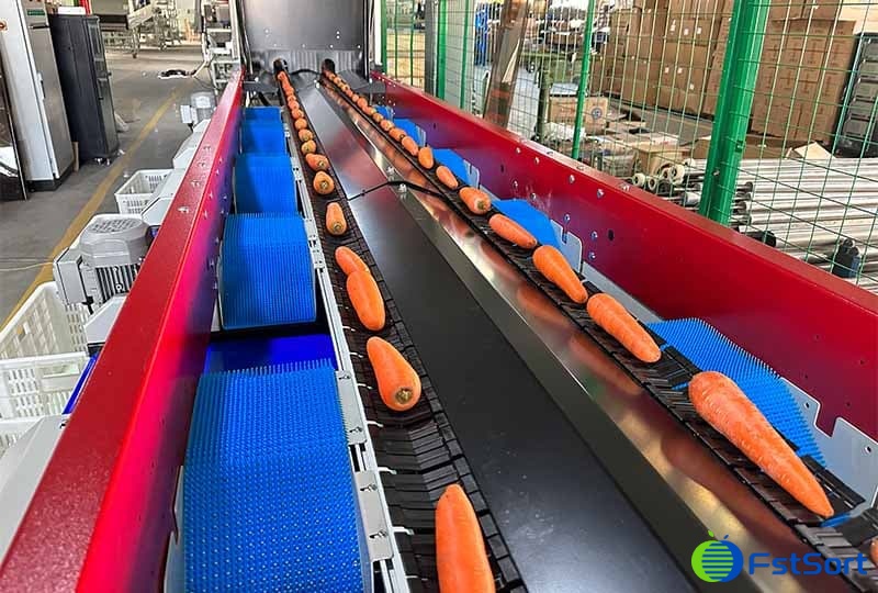 carrot optical grading machine.jpg carrot optical grading machine.jpg